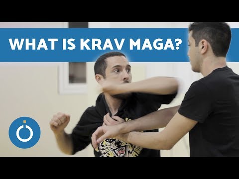What is Krav Maga?