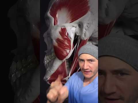 Ear problems due to a bad bite