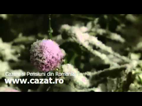 Cazare Otelec, Timis - Cazat.ro