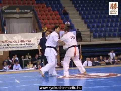 2010 Shinkyokushin EC Logrono: Marius Ilas - Andzei Milevskij, men, 80kg