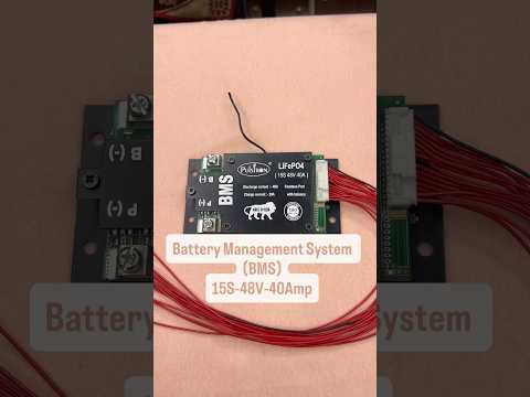 Pulstron 15S-48V-40A / Lithium LiFePo4 (LFP) / Battery Management System (BMS)