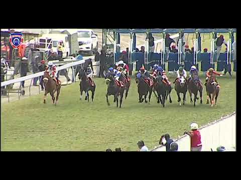 RM32 R7 | Northern Spy | J.Allyhosain