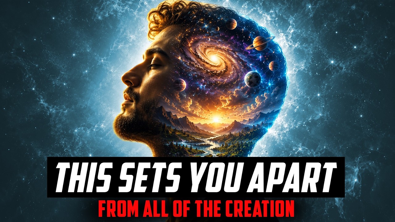 What Separates Humans From the Rest of Creation?