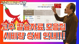 고추 재배교육 마지막화! 칼슘 효과와 토경&관주 시비량 자세히 안내해드립니다! | 농사 100단