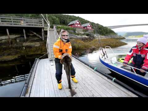 Din Tur seafishing destinations - Helgeland fjordferie