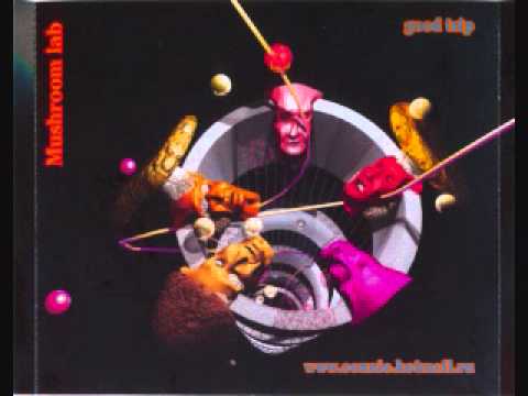 Mushroom Lab - Good Trip - Dream Traveller