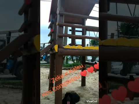 Agnes Nunes & Tiago Iorc