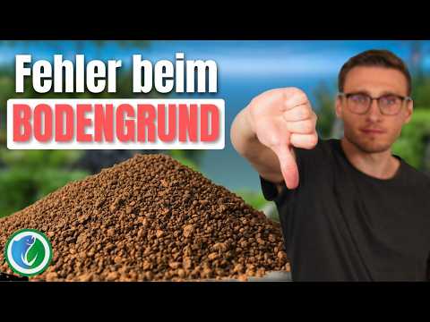 Bodengrund im Aquarium: 5 typische Fehler, die fast jeder macht!