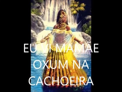 download lagu mp3 mp4 Colhendo Lirio, download lagu Colhendo Lirio gratis, unduh video klip Colhendo Lirio