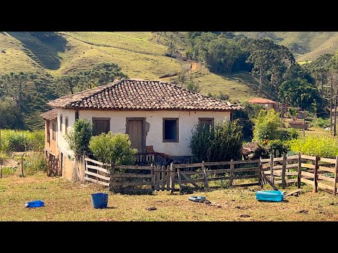 FARINHA DE MILHO DE MONJOLO E A CASA DE 200 ANOS - ALAGOA MG