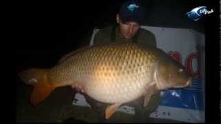 preview picture of video 'Harsanyi 2013 LifeFish Carp Team'