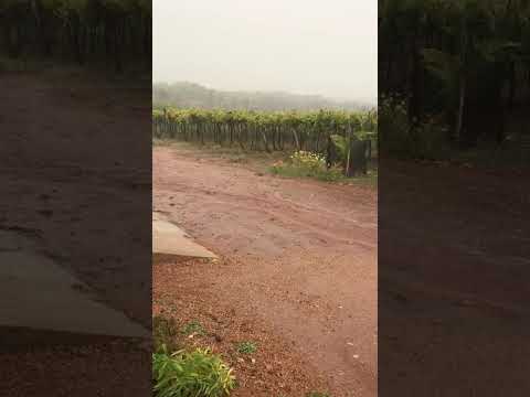 Muita Chuva em Itacuruba PE