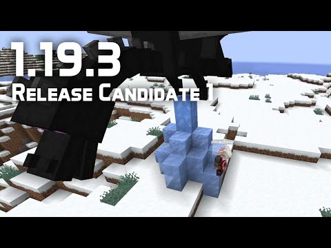 What's New in Minecraft 1.19.3 Release Candidate 1? Fixed Bugs? Maybe?
