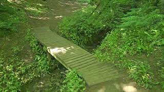 Quick nature sounds walk to relax and decompress from stress.