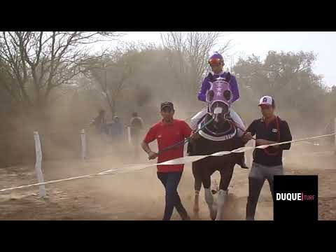 Hip El Quebrachal ( Tornado , Amigo Cachito , Tyson Right ) 10/07/2022