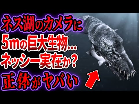 ネス湖: 研究者らが新たな発見 – 「私たちが知らないことがたくさんある」