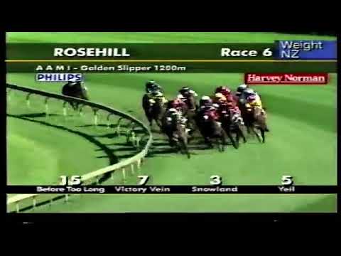 2002 Golden Slipper Rosehill