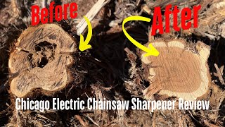 Sharpening Our Chainsaw with the Harbor Freight Chicago Electric Sharpener – Here's How It Went!