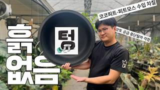 봄인데 농장에 흙이 없습니다. 만우절 거짓말이면 좋겠습니다.