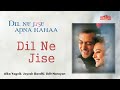 Dil Ne Jise Apna Kaha Lyrics Alka Yagnik Udit Narayan Dil Ne Jise Apna Kaha 2004 Film Box