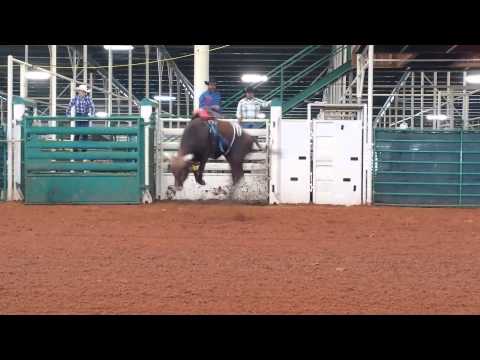 Torres 241 • ABBI Locust Grove OK • 10-3-14