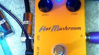 Video thumbnail for Caline Hot Mushroom Compressor by Andy Thomas