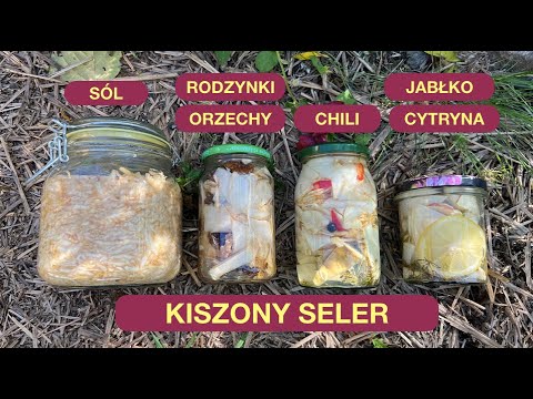 Seler Kiszony - O Niebo Lepszy Niż Świeży. Zaskocz Gości Smakiem Kiszonki Selerowej