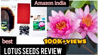 Lotus seeds from Amazon review