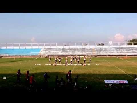 Londrina Bristlebacks - Cheerleaders Predadoras.