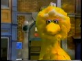 Sesame Street Telly Goes To The Snow Ball