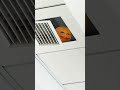 Best Sound In The World According To Annoying Orange