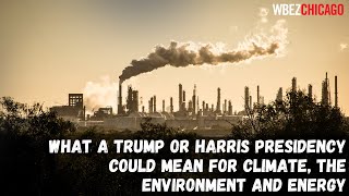 What a Trump or Harris presidency could mean for climate, the environment and energy