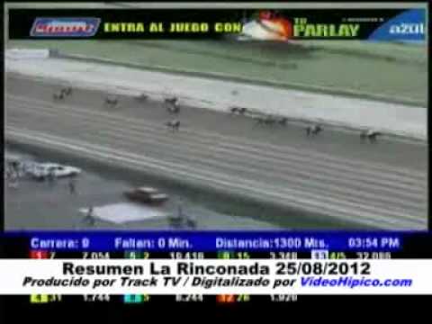Resumen La Rinconada 25-08-2012