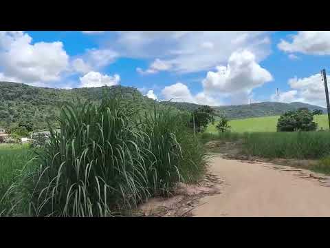 [ ATUALIZAÇÃO DO CANAL ][ FAZENDA NOVA VIDA ][ ZONA RURAL DE FLEXEIRAS-AL ][ TERRA GRORIOSA ]