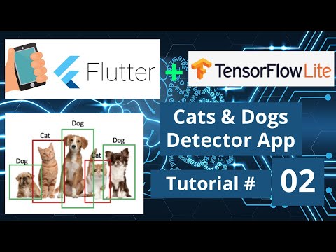 Flutter Splash Screen Cat Dog Classification TensorFlow Lite App || Machine Learning Mobile Course