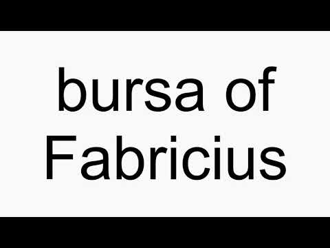 How to pronounce bursa of Fabricius