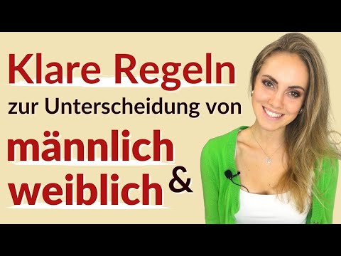 Artikel und Nomen auf Spanisch || vamos espanol