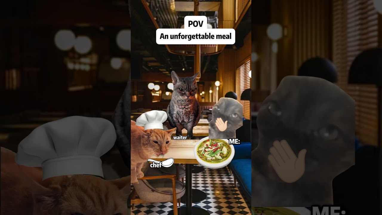 Everyone Started Throwing Up… Then the Truth Came Out 😂 | Cat Meme