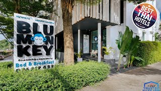 Blu Monkey Bed and Breakfast Phuket | Phuket, Thailand | Hotel Review 🌟