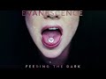 Evanescence - Feeding The Dark (Official Audio)