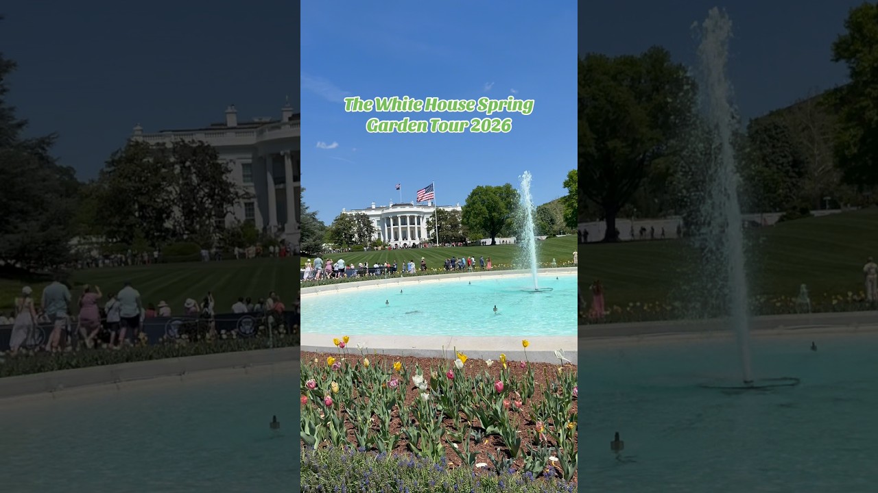 The White House Spring Garden Tour 2026 #whitehouse #springgarden #spring #stmshohel