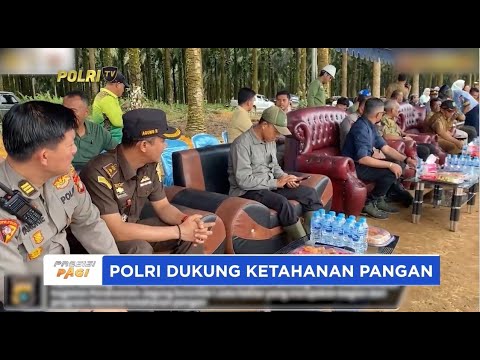 POLRES BELITUNG TIMUR MENANAM 140.000 BIBIT JAGUNG