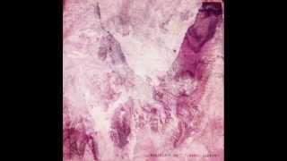 Porcelain Raft - The way in