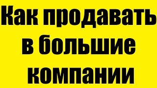 Владимир Якуба - Как продавать в большие компании