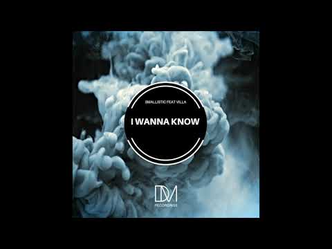 Smallistic feat Villa - I Wanna Know