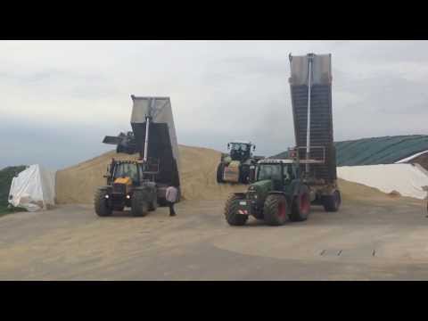 Häckseln 2013: Doppelpack Dollys im Silo