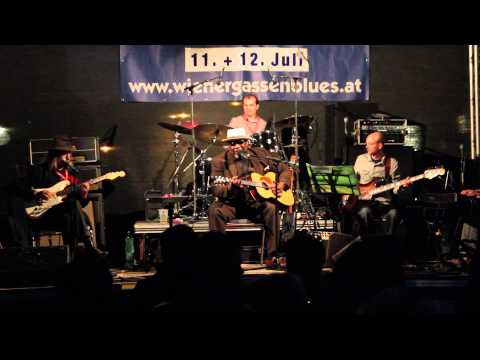 Wienergassenblues 2014 - Big Daddy Wilson - Who's Dat Knocking