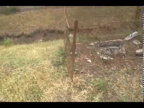 Zerstörtes Wegkreuz nach Uihei - Alexanderhausen im Banat