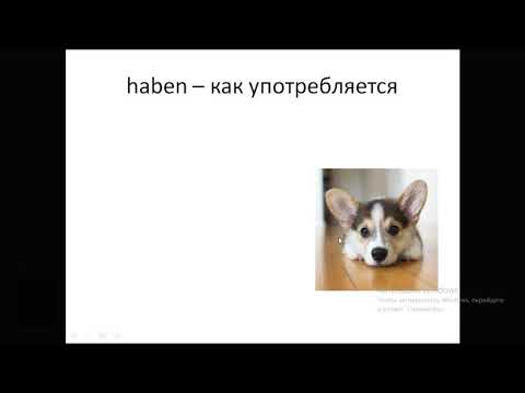 Das Verb "haben" für Kinder