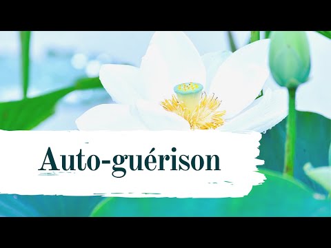 download lagu mp3 mp4 Meditation Autoguerison, download mp3 Meditation Autoguerison free download, download mp3 Meditation Autoguerison